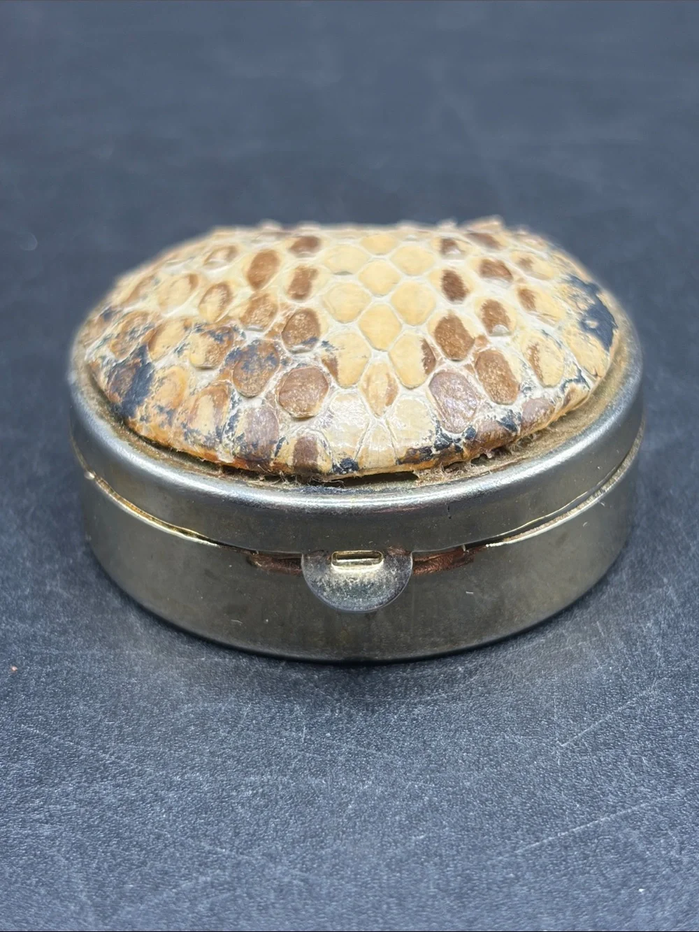 Vintage snakeskin reptile